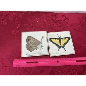 Hen-Feathers Butterfly Tiles Set of 2 Satyrium Titus Papilio Glaucus Cast Stone